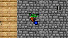 Taiyoh on screen