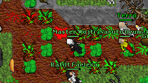 Master Wojti on screen