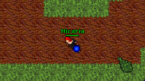 Hicaria on screen