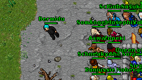 Bermidu on screen
