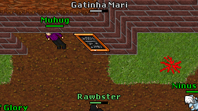 Gatinha Mari on screen