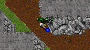 Dupciaa on screen