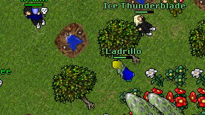 Ladrillo on screen
