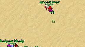 Arca Elver on screen