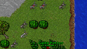 Galtb Potter on screen