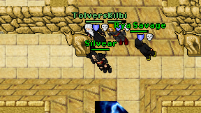 Silvear on screen