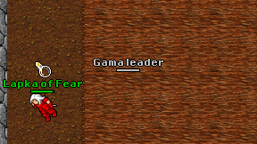 Gama leader on screen