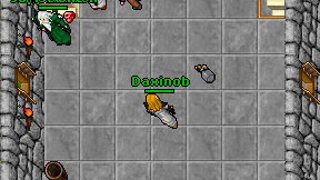 Daxinob on screen
