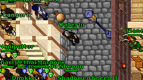 Waterlu on screen