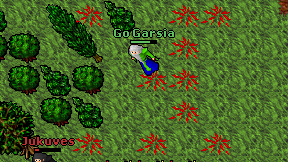 Go Garsia on screen