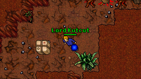 Lord Kutcut on screen
