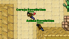 Coruja Revollution on screen