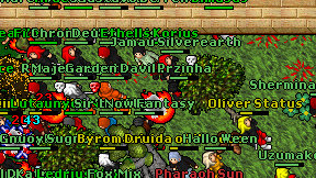 Przinha on screen
