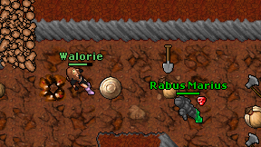 Walorie on screen
