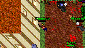 Kamzop on screen