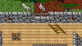 Tziu Rider on screen