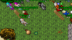 Kehuj on screen