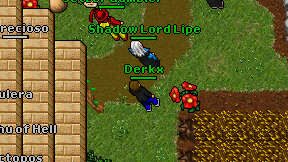 Derkx on screen