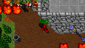Ecoo on screen