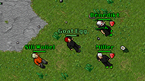 Goat Egg on screen