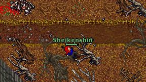 Sheikenshin on screen