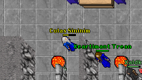 Colas Sininim on screen