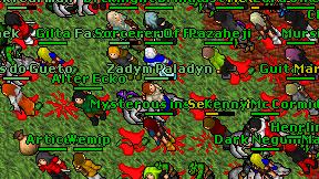 Zadym Paladyn on screen
