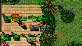 Lady Mossima on screen
