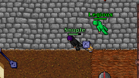Snuple on screen
