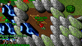 Avazin on screen