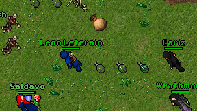 Eariz on screen