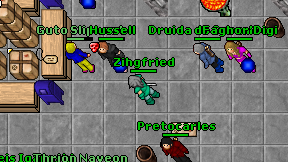 Zihgfried on screen