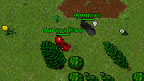 Aaraya Zima on screen