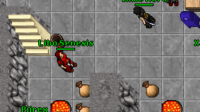 Libo Senesis on screen