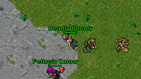 Deadly Bloody on screen
