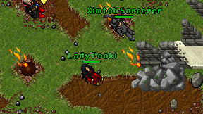 Lady Pooki on screen