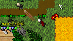 Jafid on screen
