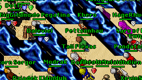 Pettsonhau on screen