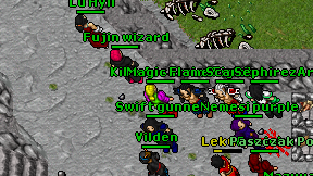 Fujin wizard on screen