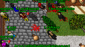 Sesja on screen