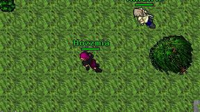 Hozzmia on screen