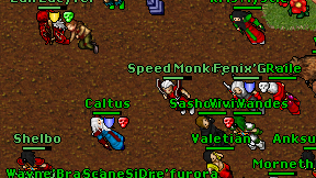 Speed Monkey on screen