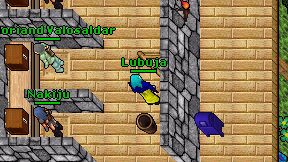 Lubuja on screen