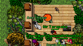 Axe Champ on screen