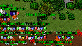 Nianji freerider on screen