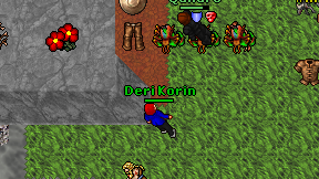 Deri Korin on screen