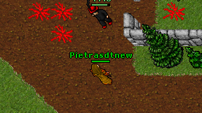 Pietrasdtnew on screen