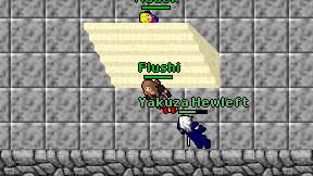 Flushi on screen