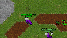 Avemariel on screen