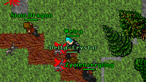 Welra on screen
